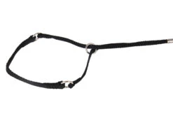 Show Tech Comfort Nylon Show Lead 3mmx98cm Black (max 83cm-Neckpiece 5mmx12cm) Show Collar -Pawfect Care Store 93ste173 22x hzscbkfhgzbyhhgm