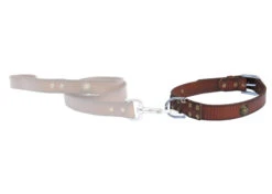 Dapper Dogs Leather Collar Bahia 1.0x20cm Brown Leather Collar