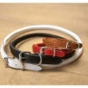 Dapper Dogs Collar Round Leather 60cm X11 Mm Red Leather Collar -Pawfect Care Store 94dap091 12x 7dawh4xj3oo4yufx