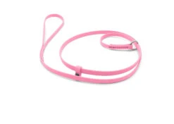 Jelly Pet Grooming Leads Neon Pink 1,5 Cm X 180 Cm -Pawfect Care Store 94jpe011 1 ap1wdlz7w5rwto81