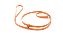 Jelly Pet Grooming Leads Hunter Orange 1,5 Cm X 180 Cm 5 Jelly Pet Grooming Leads Hunter Orange 1,5 Cm X 180 Cm -Pawfect Care Store 94jpe013 5eeoqh4qsdqnaodo