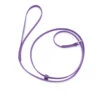 Jelly Pet Grooming Leads Purple 1,5 Cm X 180 Cm 1 Jelly Pet Grooming Leads Purple 1,5 Cm X 180 Cm -Pawfect Care Store 94jpe017 1 aqhbaamrsxcpq4ed