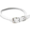 Dapper Dogs Collar Round Cow Leather 65cm X 10mm White Leather Collar -Pawfect Care Store 95dap074 12x xqwrt6xpijyj3onl