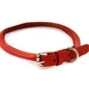 Dapper Dogs Collar Round Cow Leather 65cm X 10mm Red Leather Collar -Pawfect Care Store 95dap075 12x 5btoa3tc9intbjxm