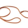 Dapper Dogs Slip Lead Round Cow Leather S 5mm Tan Leather Slip Lead -Pawfect Care Store 95dap102 12x facncbr38k4lfm7b
