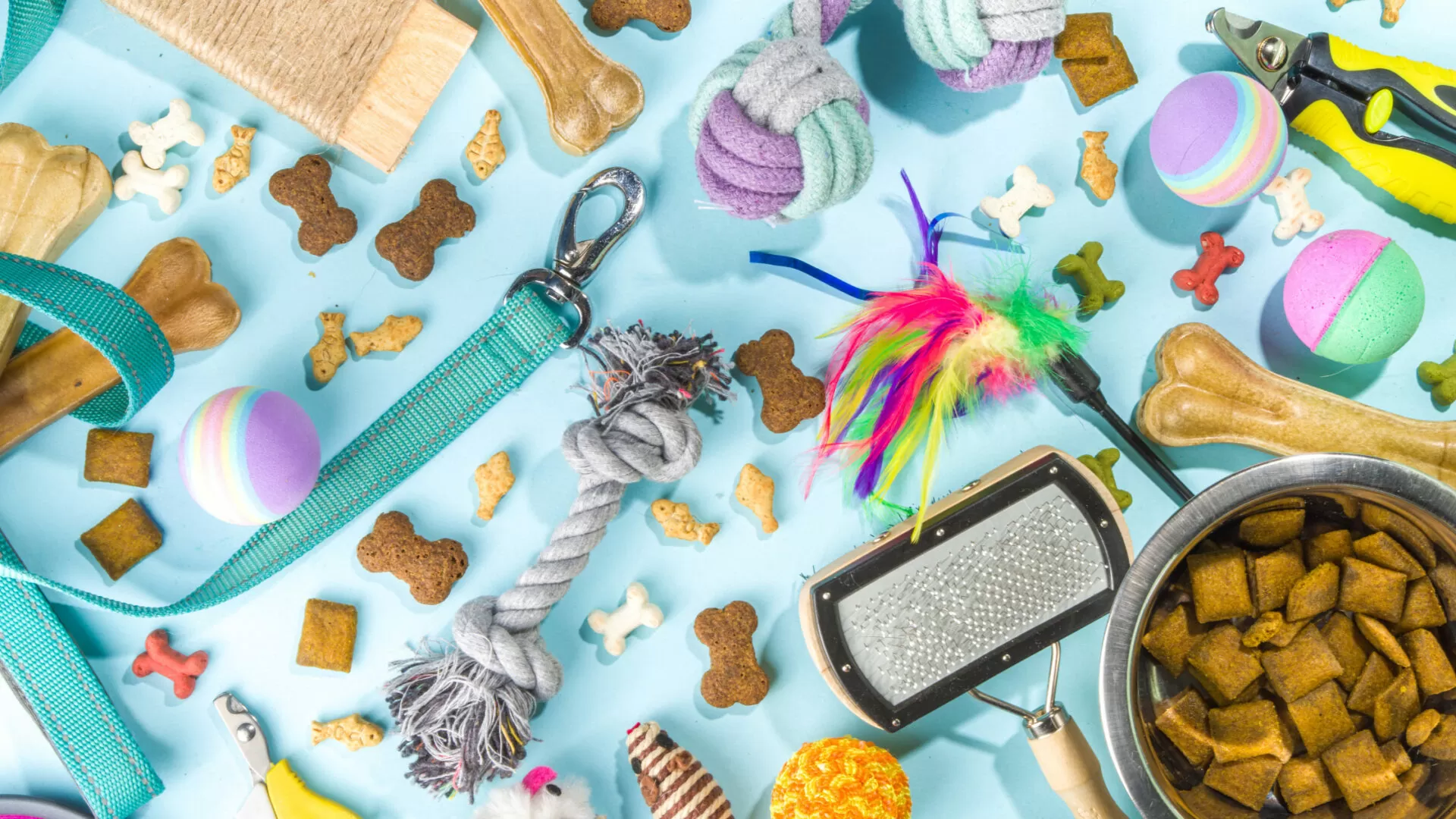 Front Page -Pawfect Care Store Essential Pet Travel Accessories